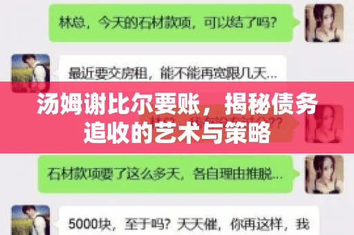汤姆谢比尔要账，揭秘债务追收的艺术与策略
