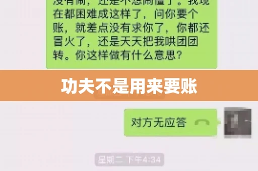 功夫不是用来要账