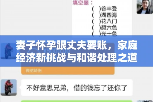 妻子怀孕跟丈夫要账，家庭经济新挑战与和谐处理之道
