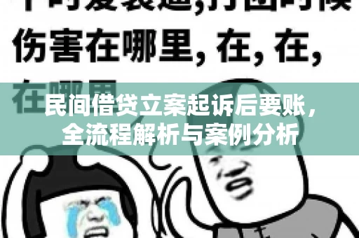 民间借贷立案起诉后要账，全流程解析与案例分析