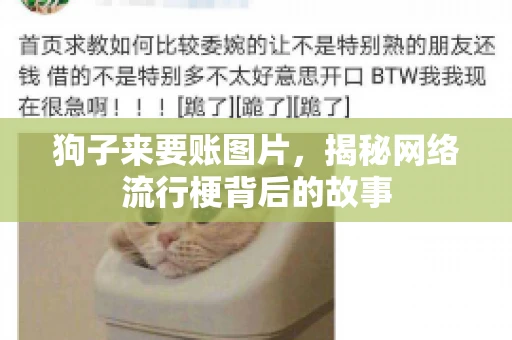 狗子来要账图片，揭秘网络流行梗背后的故事