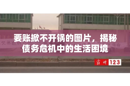 要账掀不开锅的图片，揭秘债务危机中的生活困境