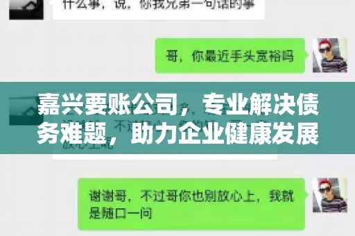 嘉兴要账公司，专业解决债务难题，助力企业健康发展