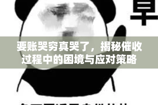 要账哭穷真哭了，揭秘催收过程中的困境与应对策略
