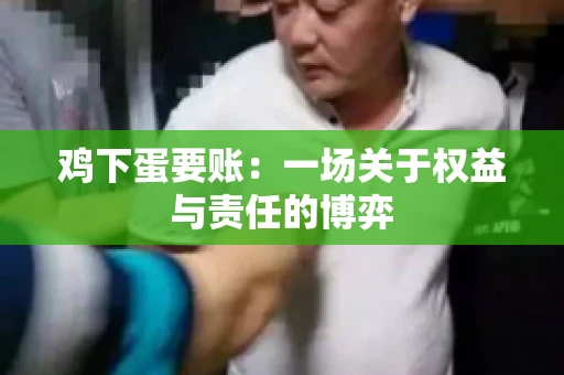 鸡下蛋要账:一场关于权益与责任的博弈 鸡下蛋要账:一场关于权益与责任的博弈