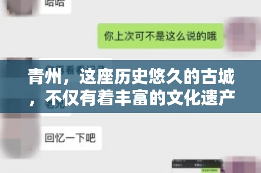 青州，这座历史悠久的古城，不仅有着丰富的文化遗产，还有着繁忙的经济活动。在商业往来中，难免会遇到一些欠款问题，这时候，找一家专业的要账公司就显得尤为重要。那么，青州有帮人要账的吗？答案是肯定的。下面，我就来为大家详细介绍一下青州地区的要账服务。