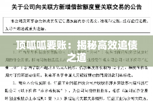 顶呱呱要账：揭秘高效追债之道