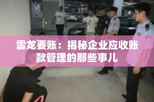 雷龙要账：揭秘企业应收账款管理的那些事儿