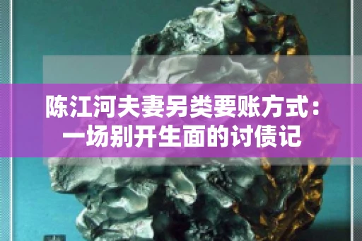 陈江河夫妻另类要账方式：一场别开生面的讨债记