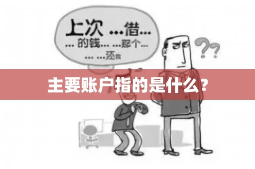 主要账户指的是什么？