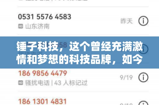 锤子科技，这个曾经充满激情和梦想的科技品牌，如今却陷入了要账的困境。今天，我们就来聊聊锤子科技要账的那些事儿。