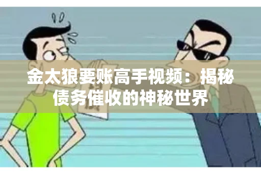 金太狼要账高手视频：揭秘债务催收的神秘世界