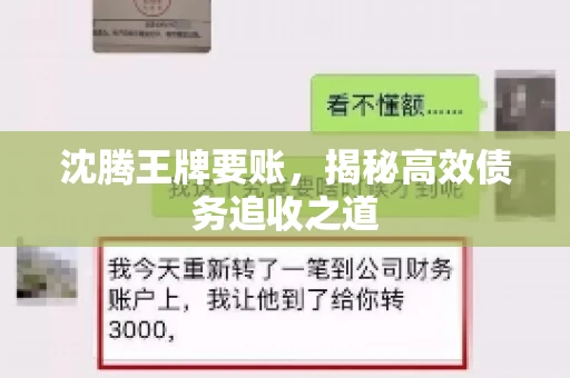 沈腾王牌要账，揭秘高效债务追收之道