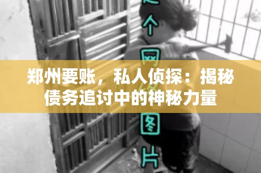 郑州要账，私人侦探：揭秘债务追讨中的神秘力量