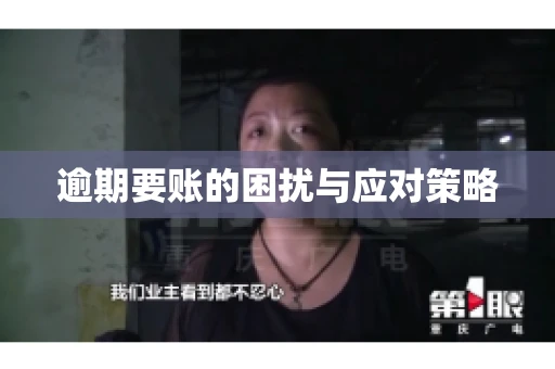 逾期要账的困扰与应对策略