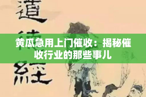黄瓜急用上门催收：揭秘催收行业的那些事儿
