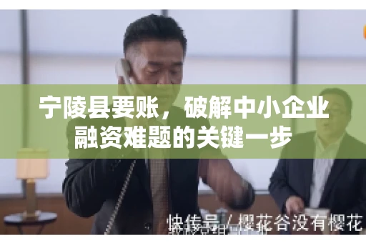 宁陵县要账，破解中小企业融资难题的关键一步
