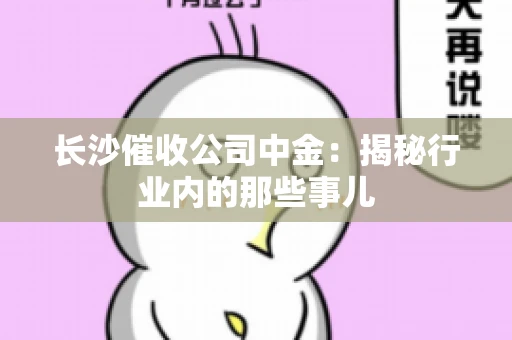长沙催收公司中金：揭秘行业内的那些事儿